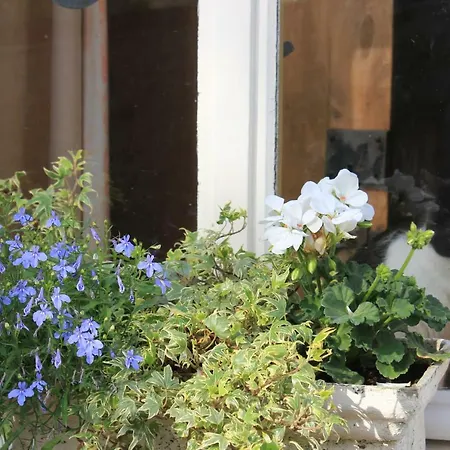 La Passiflore B&B Bossiere Exterior photo