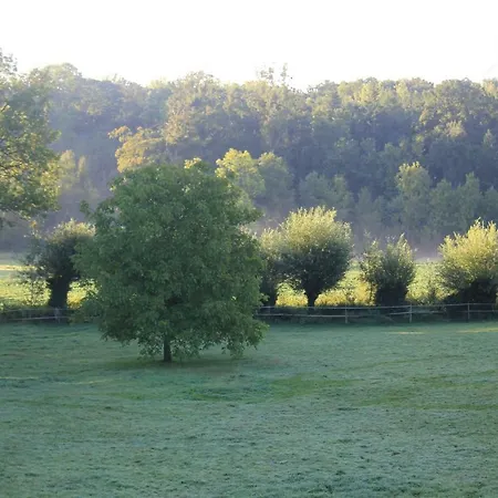 La Passiflore B&B Bossiere Exterior photo