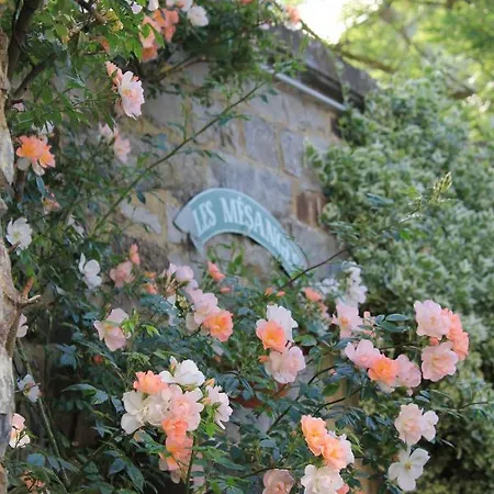 La Passiflore B&B Bossiere Exterior photo
