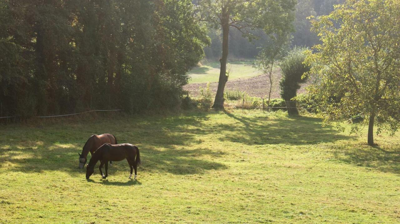 Bed & Breakfast La Passiflore Bossiere